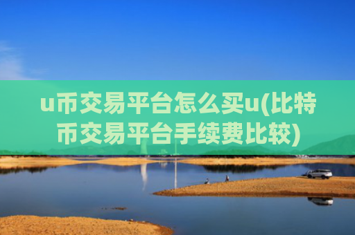 u币交易平台怎么买u(比特币交易平台手续费比较)