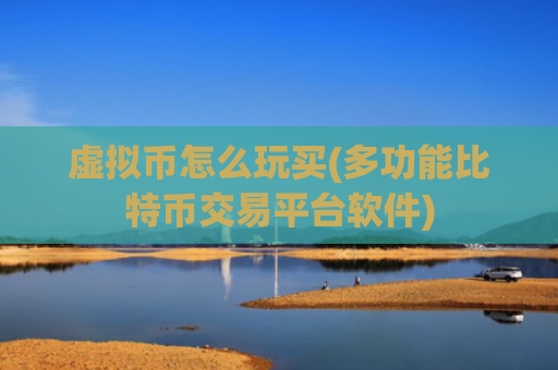 虚拟币怎么玩买(多功能比特币交易平台软件)