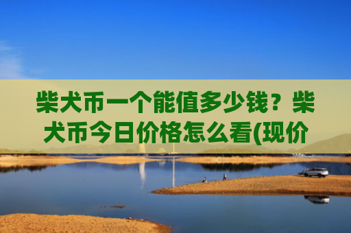 柴犬币一个能值多少钱?柴犬币今日价格怎么看(现价0.00020939元)
