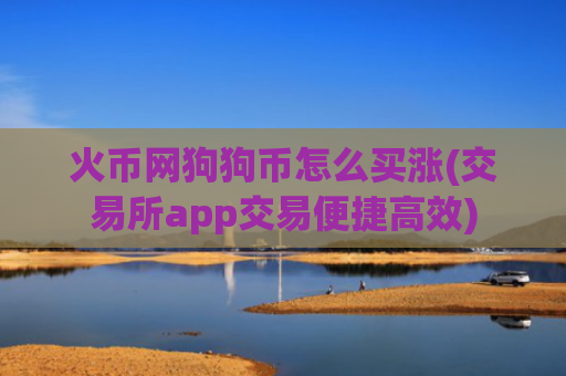 火币网狗狗币怎么买涨(交易所app交易便捷高效)