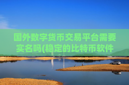 国外数字货币交易平台需要实名吗(稳定的比特币软件交易平台)