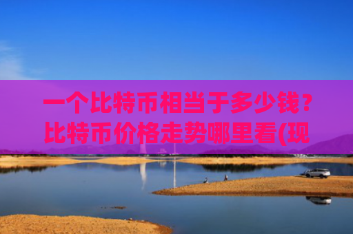 一个比特币相当于多少钱？比特币价格走势哪里看(现价689264.31元)