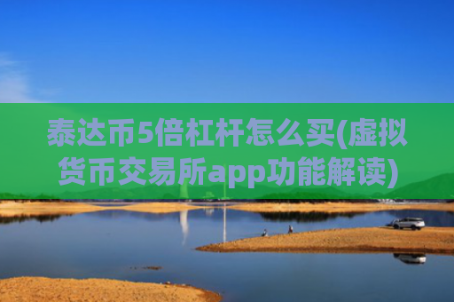 泰达币5倍杠杆怎么买(虚拟货币交易所app功能解读)