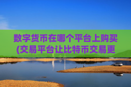 数字货币在哪个平台上购买(交易平台让比特币交易更畅快无阻)