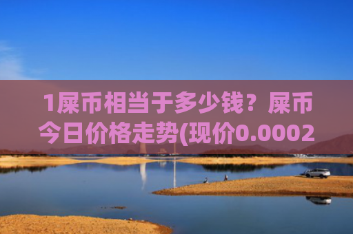 1屎币相当于多少钱?屎币今日价格走势(现价0.00021113元)