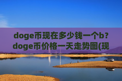 doge币现在多少钱一个b？doge币价格一天走势图(现价2.9289元)