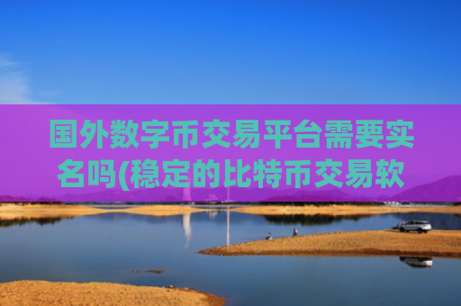 国外数字币交易平台需要实名吗(稳定的比特币交易软件)