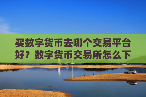 买数字货币去哪个交易平台好?数字货币交易所怎么下载不了了