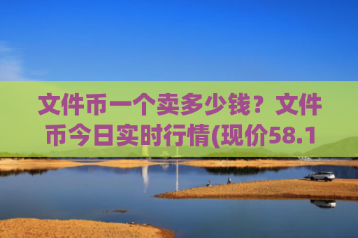 文件币一个卖多少钱？文件币今日实时行情(现价58.1949元)