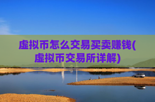 虚拟币怎么交易买卖赚钱(虚拟币交易所详解)