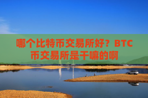 哪个比特币交易所好?BTC币交易所是干嘛的啊