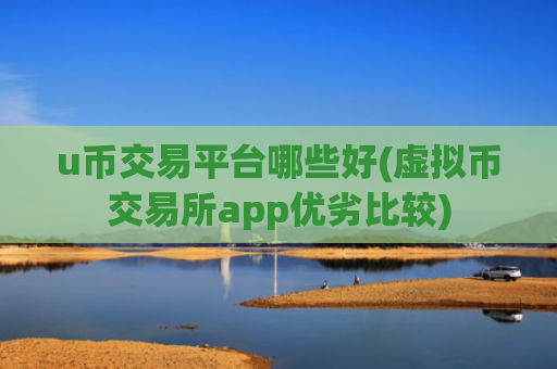 u币交易平台哪些好(虚拟币交易所app优劣比较)