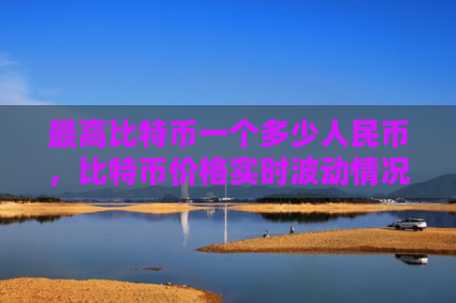 最高比特币一个多少人民币，比特币价格实时波动情况