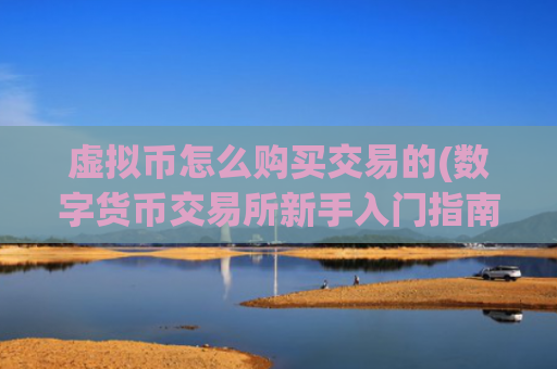 虚拟币怎么购买交易的(数字货币交易所新手入门指南)