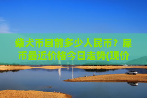柴犬币目前多少人民币？屎币最近价格今日走势(现价0.0002162元)