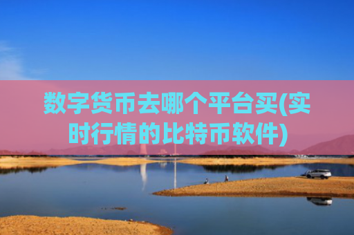 数字货币去哪个平台买(实时行情的比特币软件)