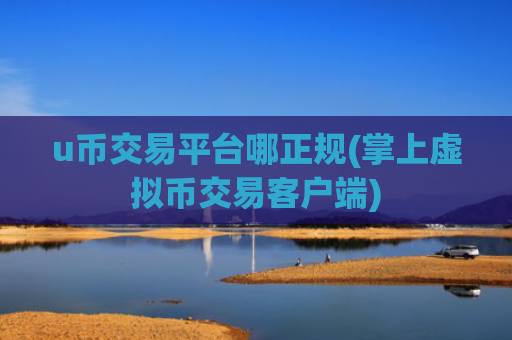u币交易平台哪正规(掌上虚拟币交易客户端)