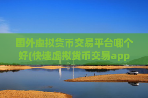 国外虚拟货币交易平台哪个好(快速虚拟货币交易app)