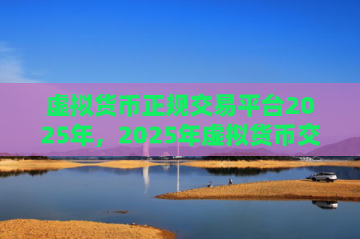 虚拟货币正规交易平台2025年，2025年虚拟货币交易市场展望
