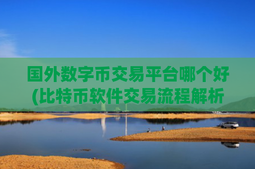 国外数字币交易平台哪个好(比特币软件交易流程解析)