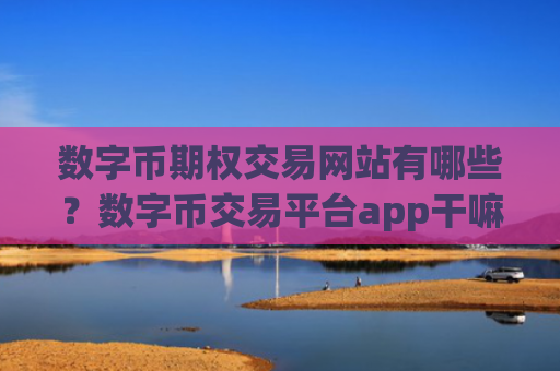 数字币期权交易网站有哪些?数字币交易平台app干嘛的