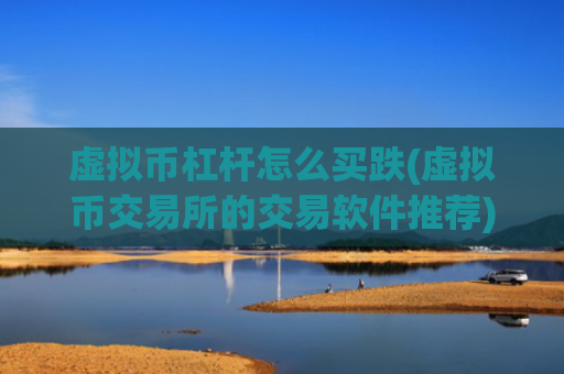 虚拟币杠杆怎么买跌(虚拟币交易所的交易软件推荐)