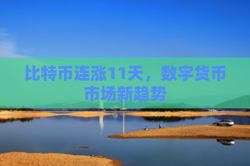比特币连涨11天,数字货币市场新趋势