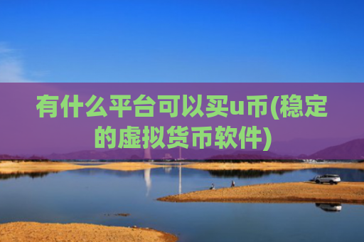 有什么平台可以买u币(稳定的虚拟货币软件)