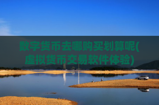 数字货币去哪购买划算呢(虚拟货币交易软件体验)