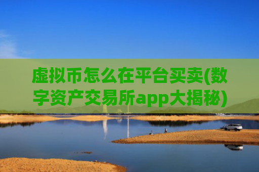虚拟币怎么在平台买卖(数字资产交易所app大揭秘)