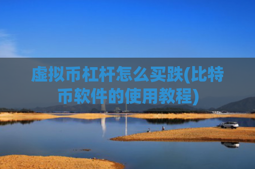 虚拟币杠杆怎么买跌(比特币软件的使用教程)