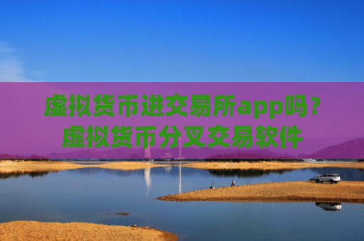 虚拟货币进交易所app吗？虚拟货币分叉交易软件