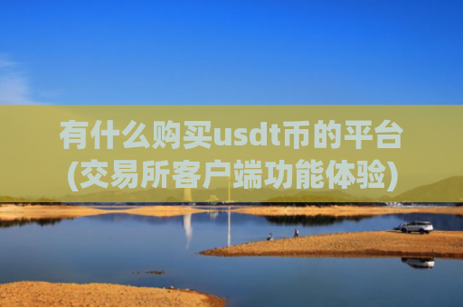 有什么购买usdt币的平台(交易所客户端功能体验)