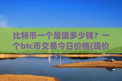 比特币一个是值多少钱?一个btc币交易今日价格(现价697173.5元)