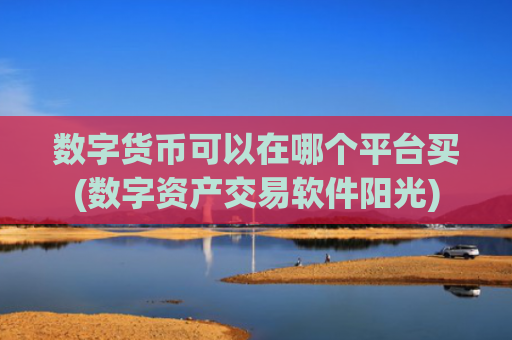 数字货币可以在哪个平台买(数字资产交易软件阳光)