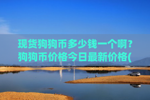 现货狗狗币多少钱一个啊？狗狗币价格今日最新价格(现价3.0097元)