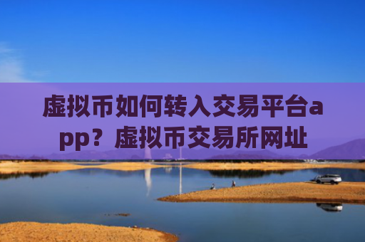 虚拟币如何转入交易平台app?虚拟币交易所网址