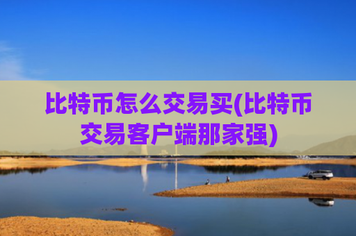比特币怎么交易买(比特币交易客户端那家强)