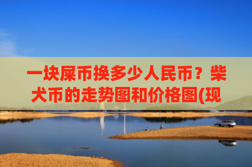 一块屎币换多少人民币?柴犬币的走势图和价格图(现价0.00021949元)