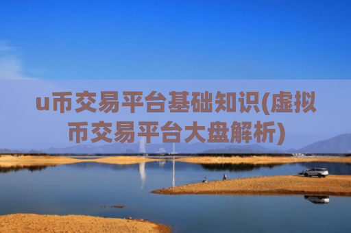 u币交易平台基础知识(虚拟币交易平台大盘解析)