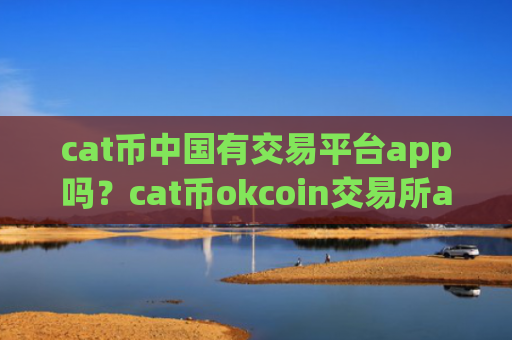 cat币中国有交易平台app吗?cat币okcoin交易所app下载官网登录
