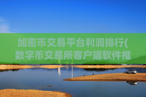 加密币交易平台利润排行(数字币交易所客户端软件推荐)