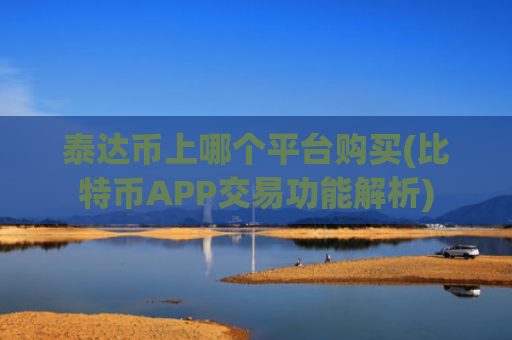 泰达币上哪个平台购买(比特币APP交易功能解析)