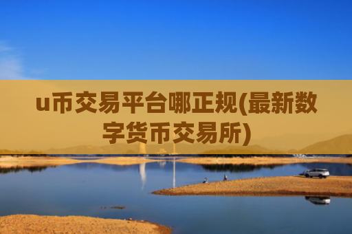 u币交易平台哪正规(最新数字货币交易所)