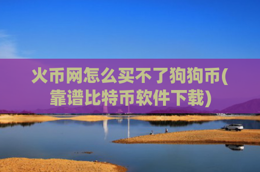火币网怎么买不了狗狗币(靠谱比特币软件下载)