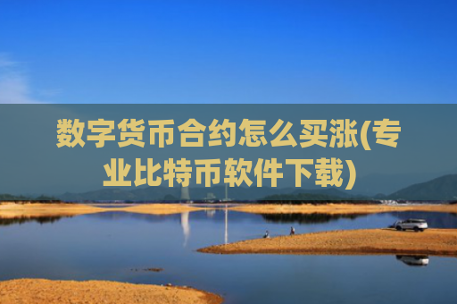 数字货币合约怎么买涨(专业比特币软件下载)