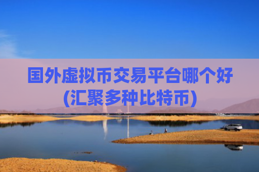 国外虚拟币交易平台哪个好(汇聚多种比特币)