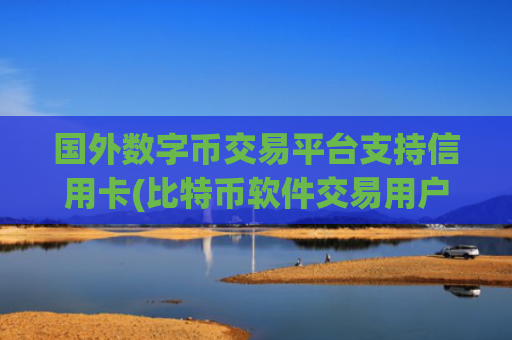 国外数字币交易平台支持信用卡(比特币软件交易用户体验)