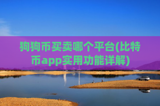 狗狗币买卖哪个平台(比特币app实用功能详解)