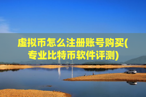 虚拟币怎么注册账号购买(专业比特币软件评测)